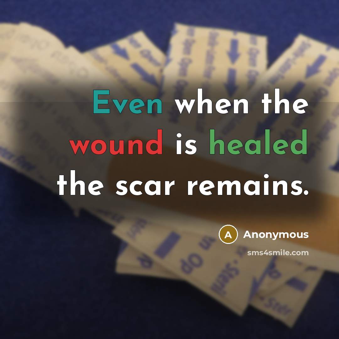“Even when the wound is healed the scar remains.” quote by Anonymous