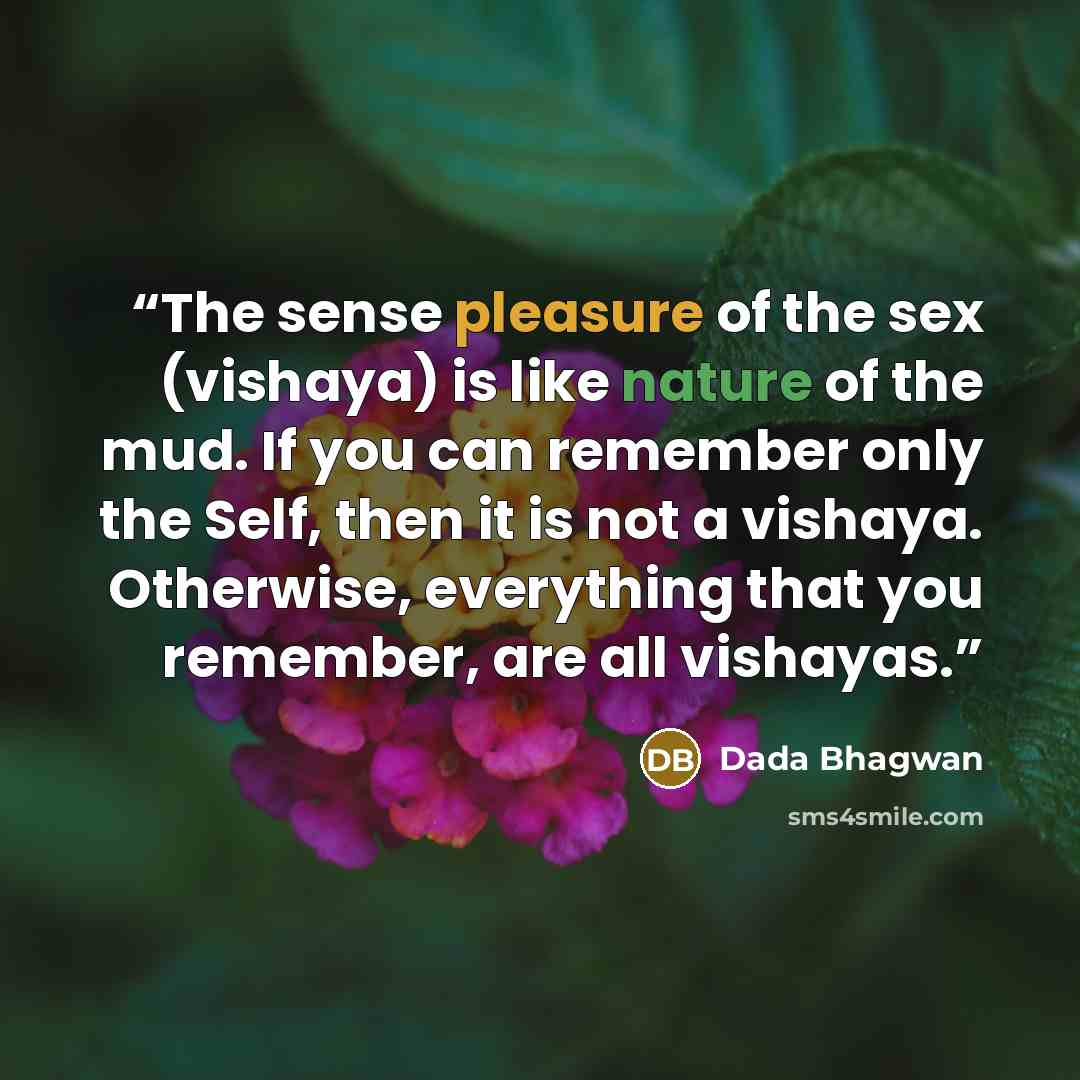 “The sense pleasure of the sex (vishaya) is like nature of the mud. If you can remember only the Self, then it is not a vishaya. Otherwise, everything that you remember, are all vishayas.” quote by Dada Bhagwan