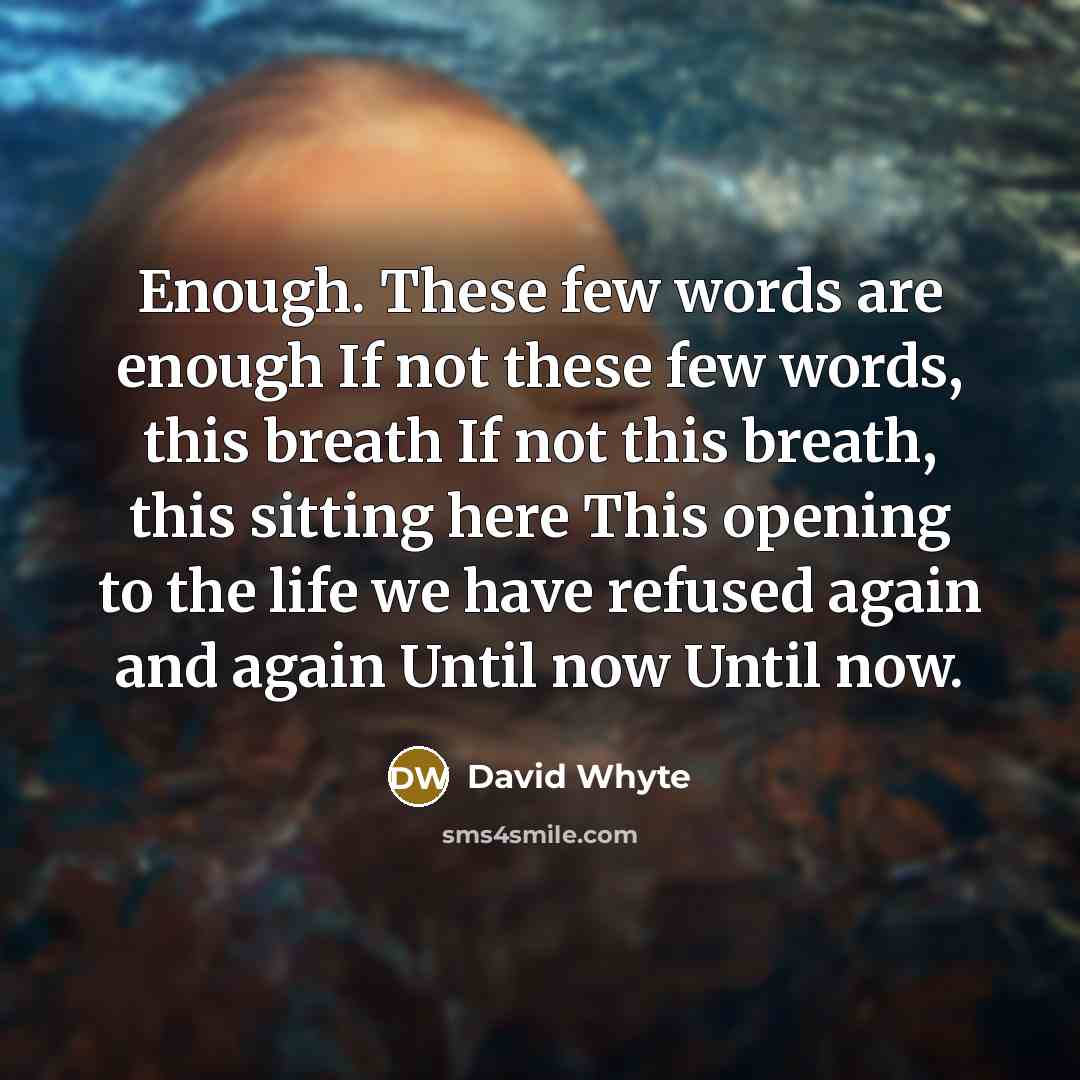 “Enough. These few words are enough If not these few words, this breath If not this breath, this sitting here This opening to the life we have refused again and again Until now Until now.” quote by David Whyte