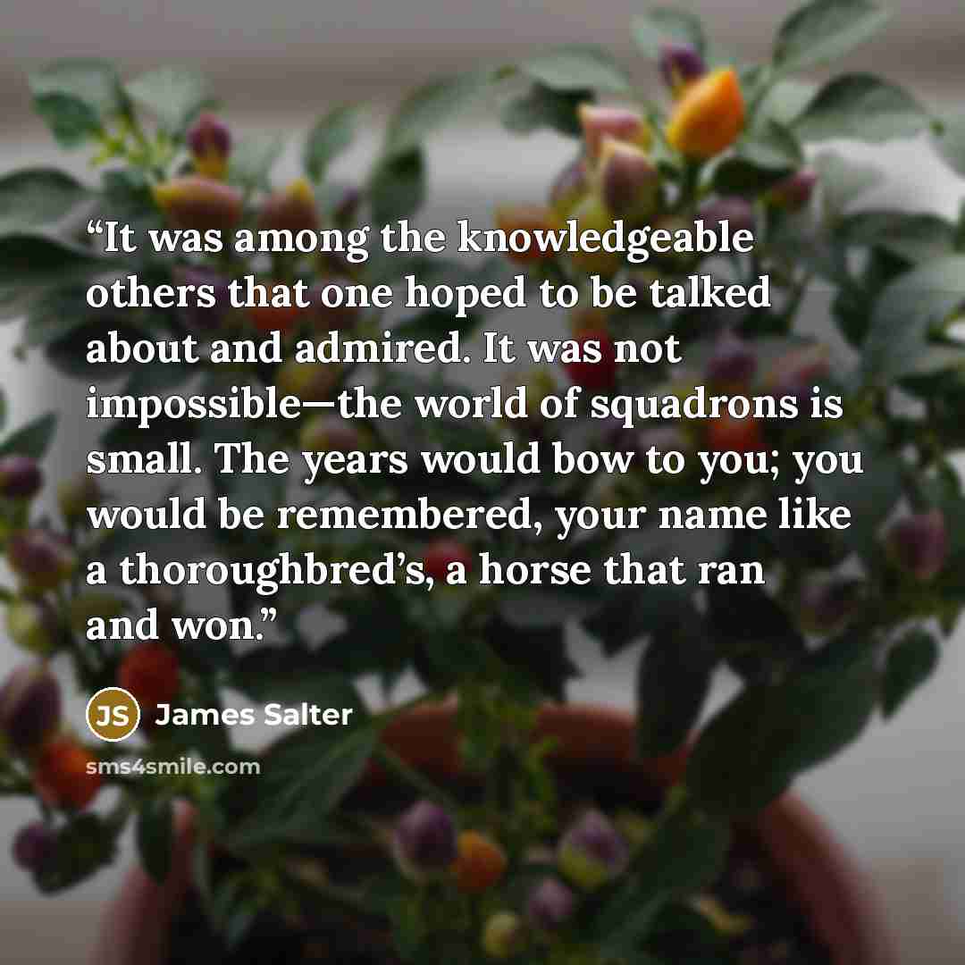 “It was among the knowledgeable others that one hoped to be talked about and admired. It was not impossible—the world of squadrons is small. The years would bow to you; you would be remembered, your name like a thoroughbred’s, a horse that ran and won.” quote by James Salter