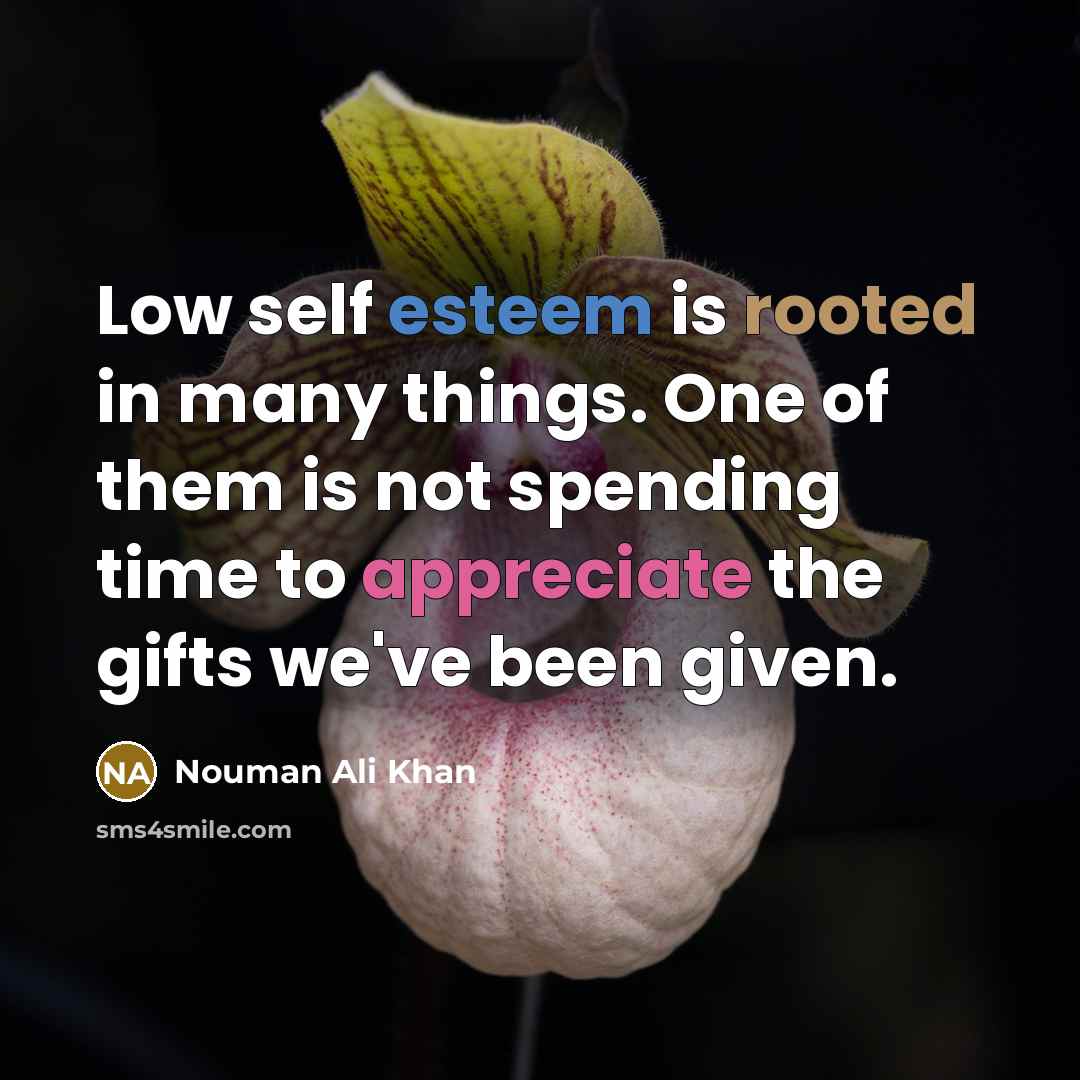 “Low self esteem is rooted in many things. One of them is not spending time to appreciate the gifts we've been given.” quote by Nouman Ali Khan
