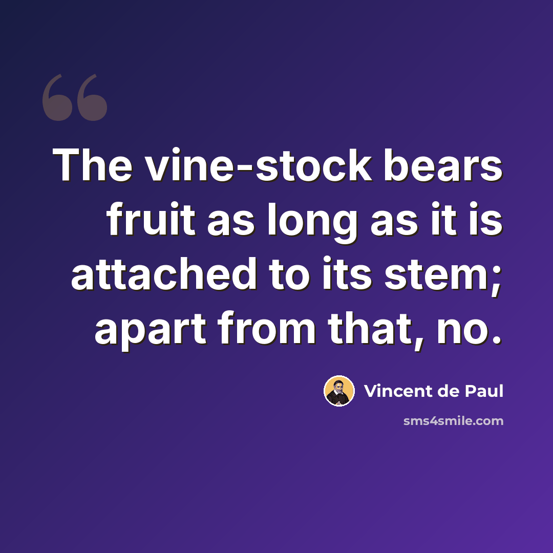 “The vine-stock bears fruit as long as it is attached to its stem; apart from that, no.” quote by Vincent de Paul