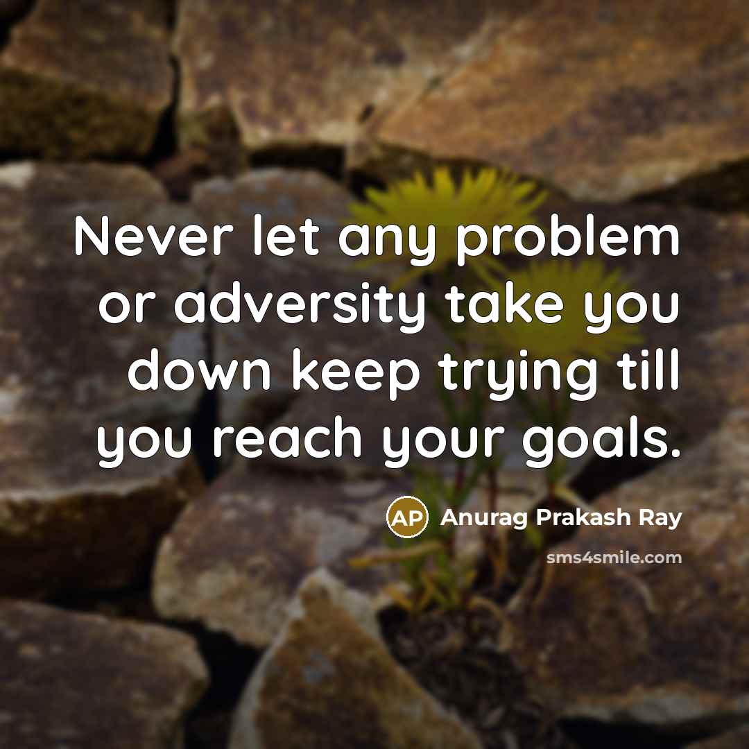 “Never let any problem or adversity take you down keep trying till you reach your goals.” quote by Anurag Prakash Ray