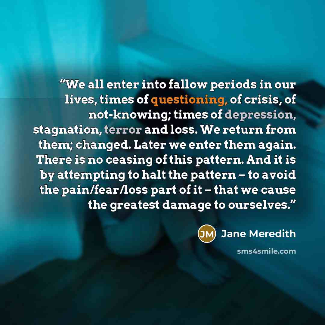 “We all enter into fallow periods in our lives, times of questioning, of crisis, of not-knowing; times of depression, stagnation, terror and loss. We return from them; changed. Later we enter them again. There is no ceasing of this pattern. And it is by attempting to halt the pattern – to avoid the…” quote by Jane Meredith