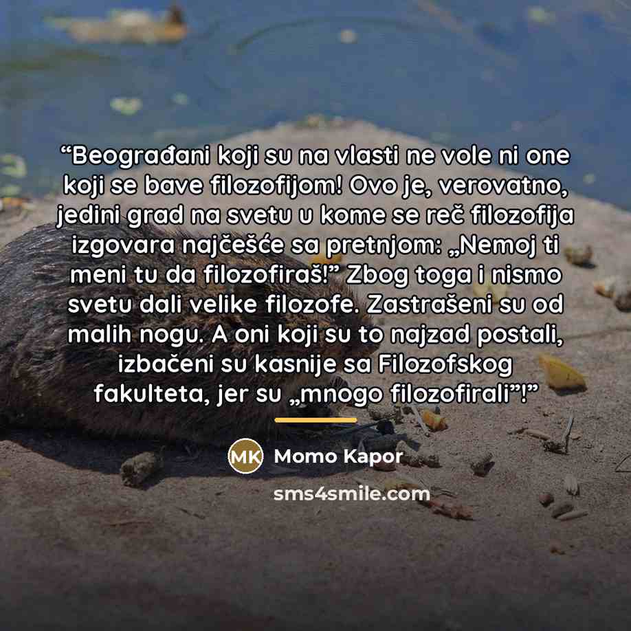 “Beograđani koji su na vlasti ne vole ni one koji se bave filozofijom! Ovo je, verovatno, jedini grad na svetu u kome se reč filozofija izgovara najčešće sa pretnjom: „Nemoj ti meni tu da filozofiraš!” Zbog toga i nismo svetu dali velike filozofe. Zastrašeni su od malih nogu. A oni koji su to…” quote by Momo Kapor