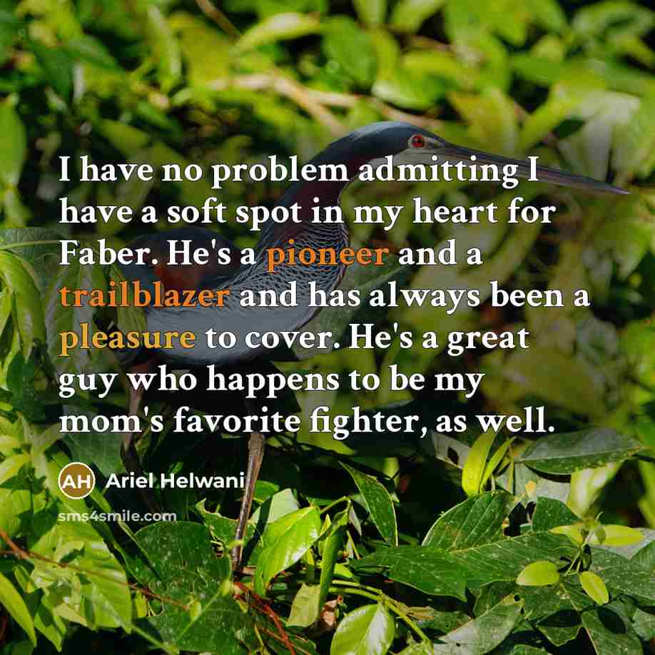 “I have no problem admitting I have a soft spot in my heart for Faber. He's a pioneer and a trailblazer and has always been a pleasure to cover. He's a great guy who happens to be my mom's favorite fighter, as well.” quote by Ariel Helwani