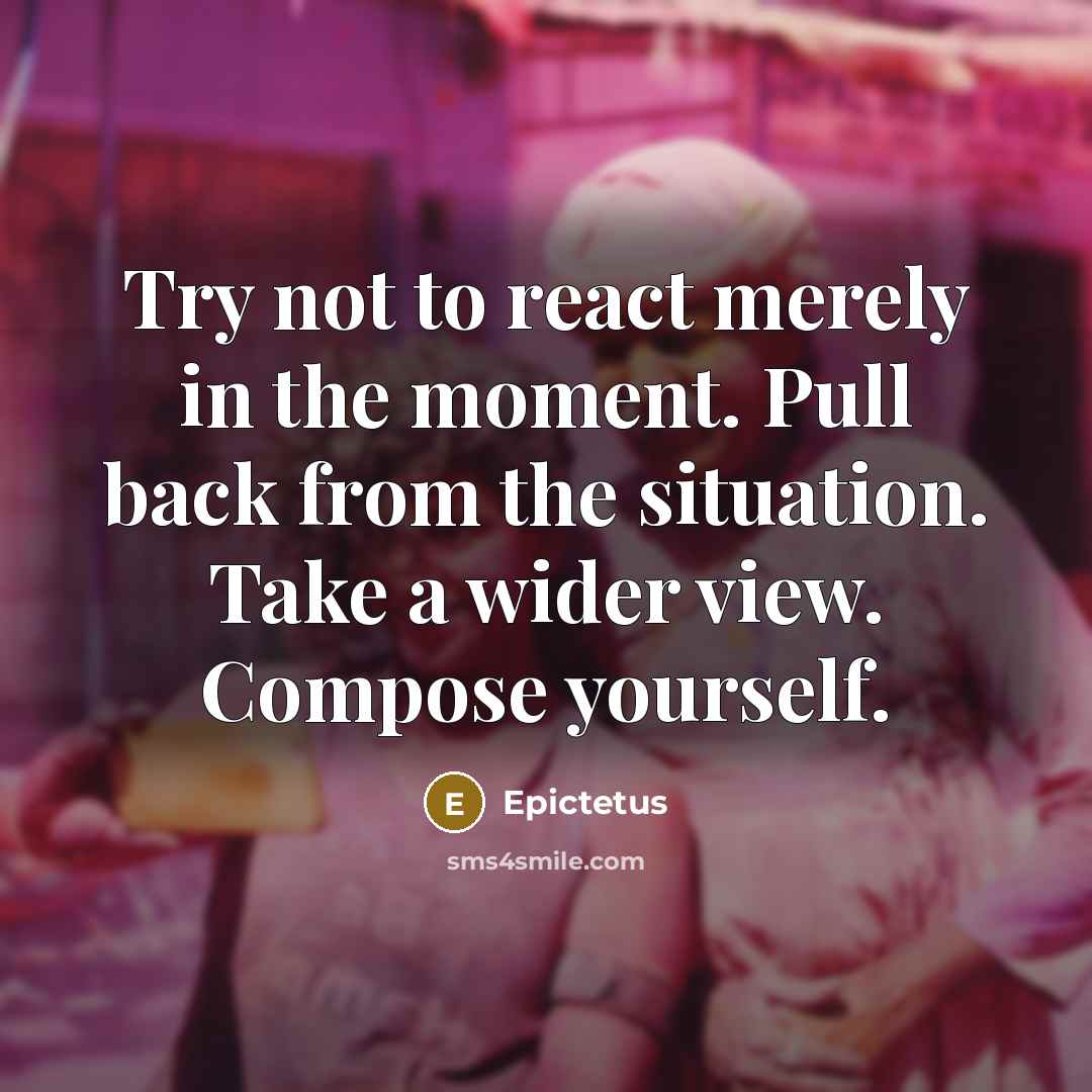 “Try not to react merely in the moment. Pull back from the situation. Take a wider view. Compose yourself.” quote by Epictetus