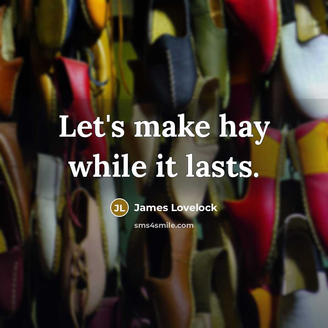 “Let's make hay while it lasts.” quote by James Lovelock