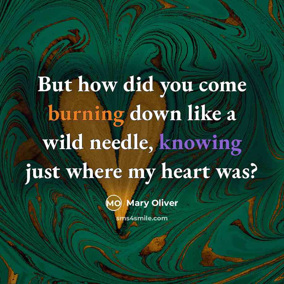 “But how did you come burning down like a wild needle, knowing just where my heart was?” quote by Mary Oliver