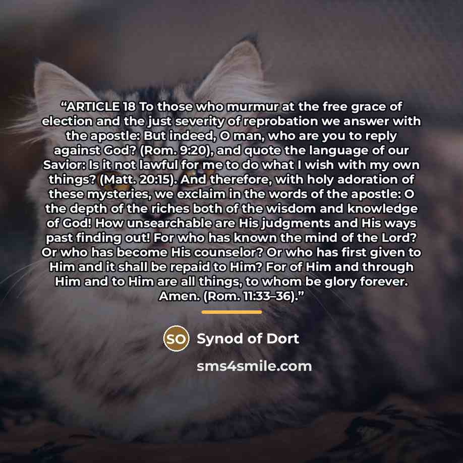 “ARTICLE 18 To those who murmur at the free grace of election and the just severity of reprobation we answer with the apostle: But indeed, O man, who are you to reply against God? (Rom. 9:20), and quote the language of our Savior: Is it not lawful for me to do what I wish with my own things? (Matt…” quote by Synod of Dort
