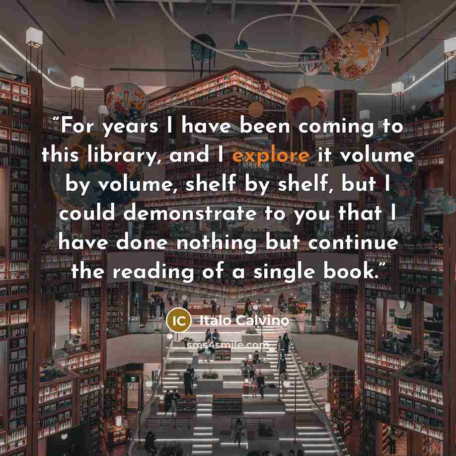 “For years I have been coming to this library, and I explore it volume by volume, shelf by shelf, but I could demonstrate to you that I have done nothing but continue the reading of a single book.” quote by Italo Calvino