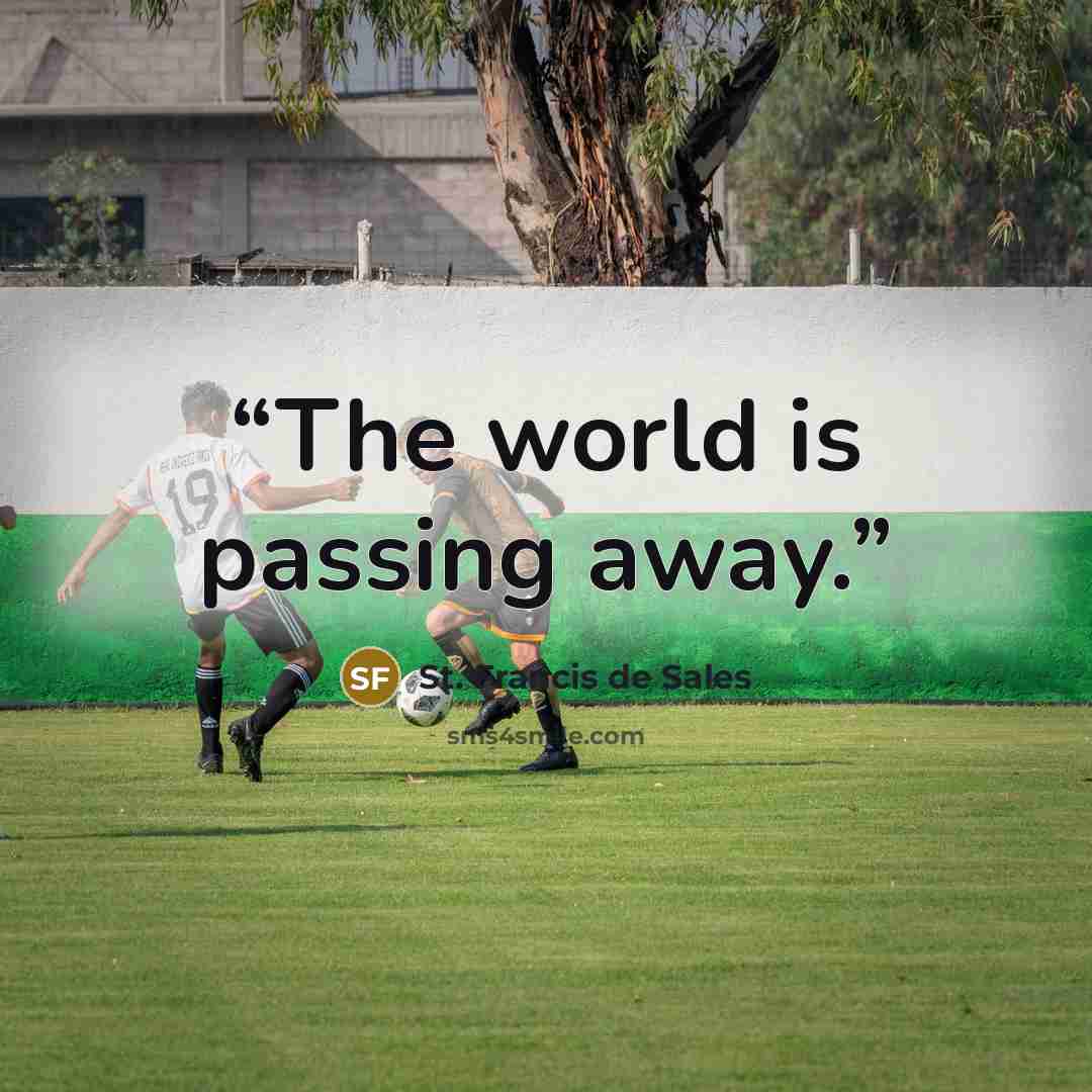 “The world is passing away.” quote by St. Francis de Sales