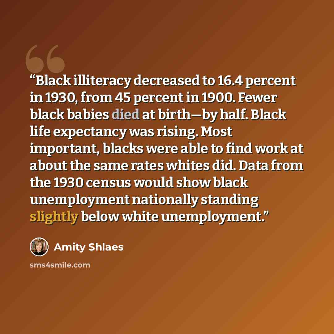 “Black illiteracy decreased to 16.4 percent in 1930, from 45 percent in 1900. Fewer black babies died at birth—by half. Black life expectancy was rising. Most important, blacks were able to find work at about the same rates whites did. Data from the 1930 census would show black unemployment…” quote by Amity Shlaes