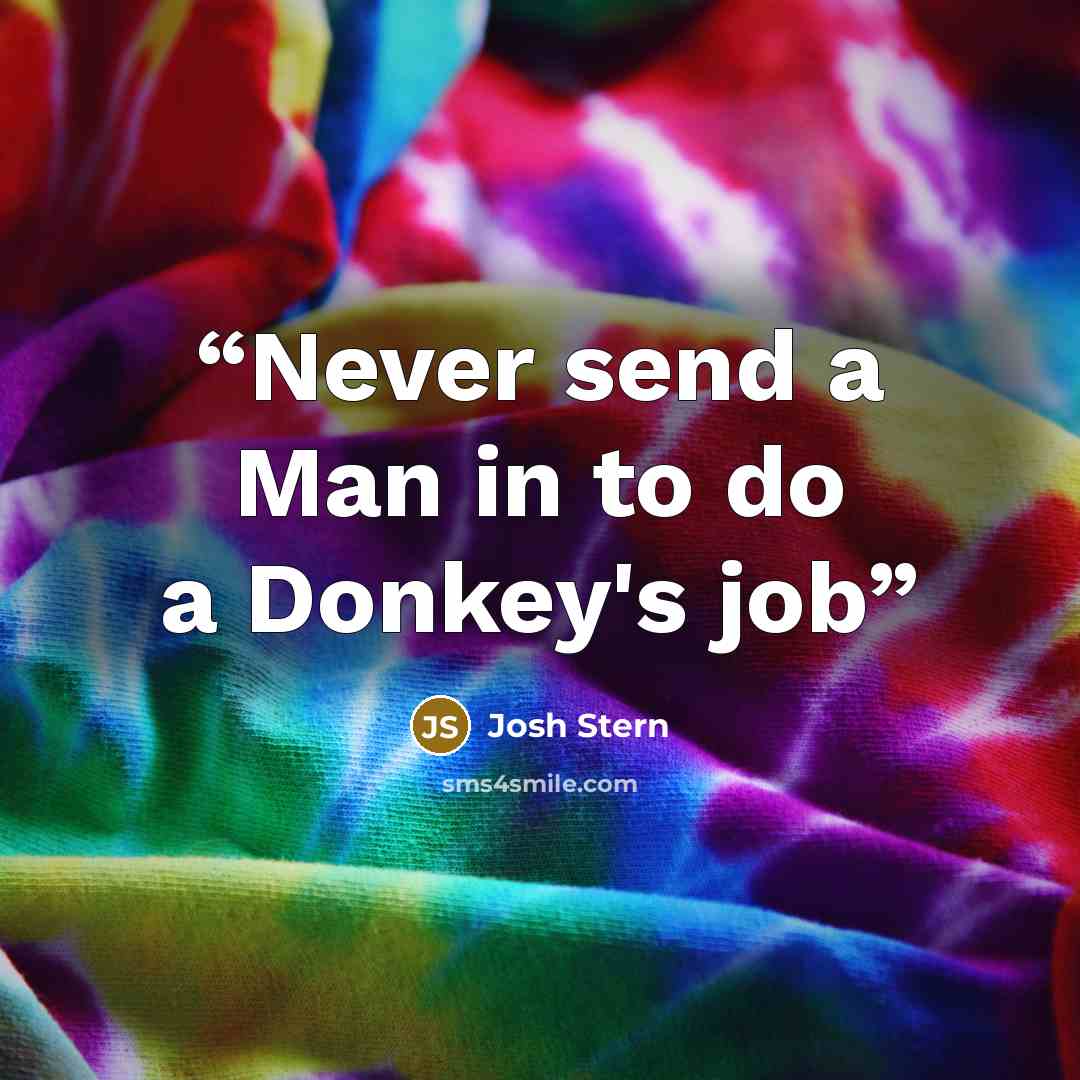 “Never send a Man in to do a Donkey's job” quote by Josh Stern