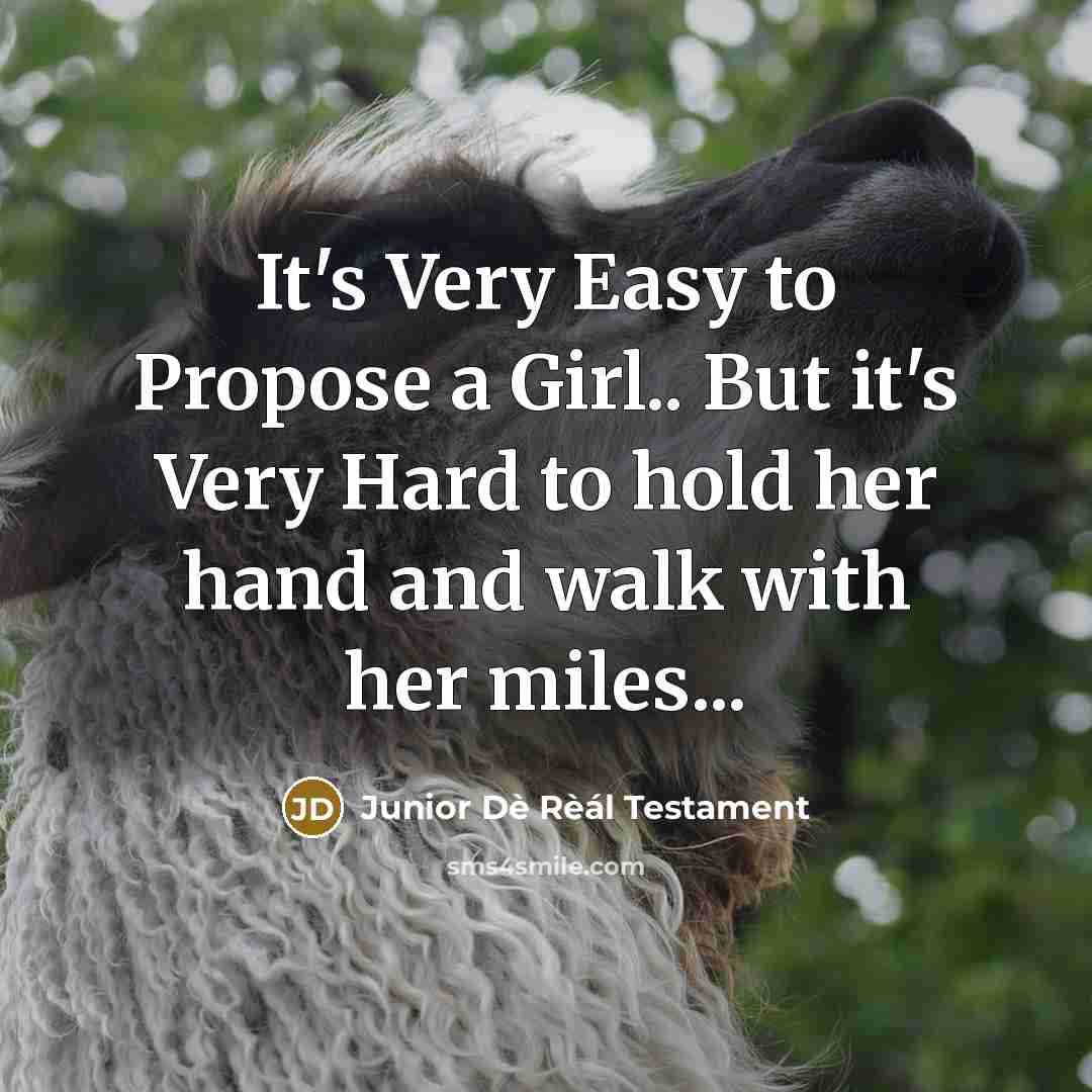 “It's Very Easy to Propose a Girl.. But it's Very Hard to hold her hand and walk with her miles...” quote by Junior Dè Rèál Testament