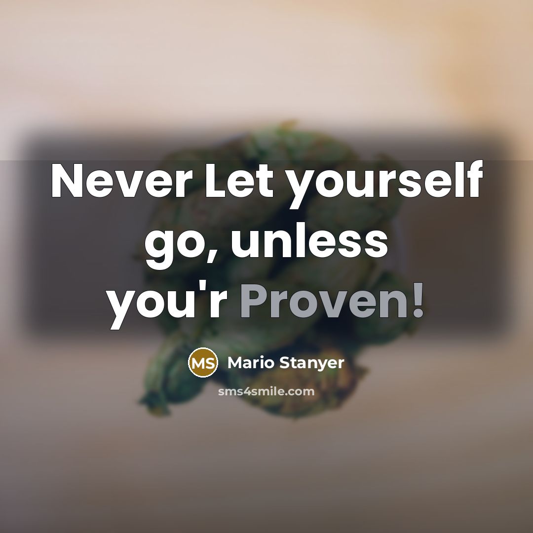 “Never Let yourself go, unless you'r Proven!” quote by Mario Stanyer