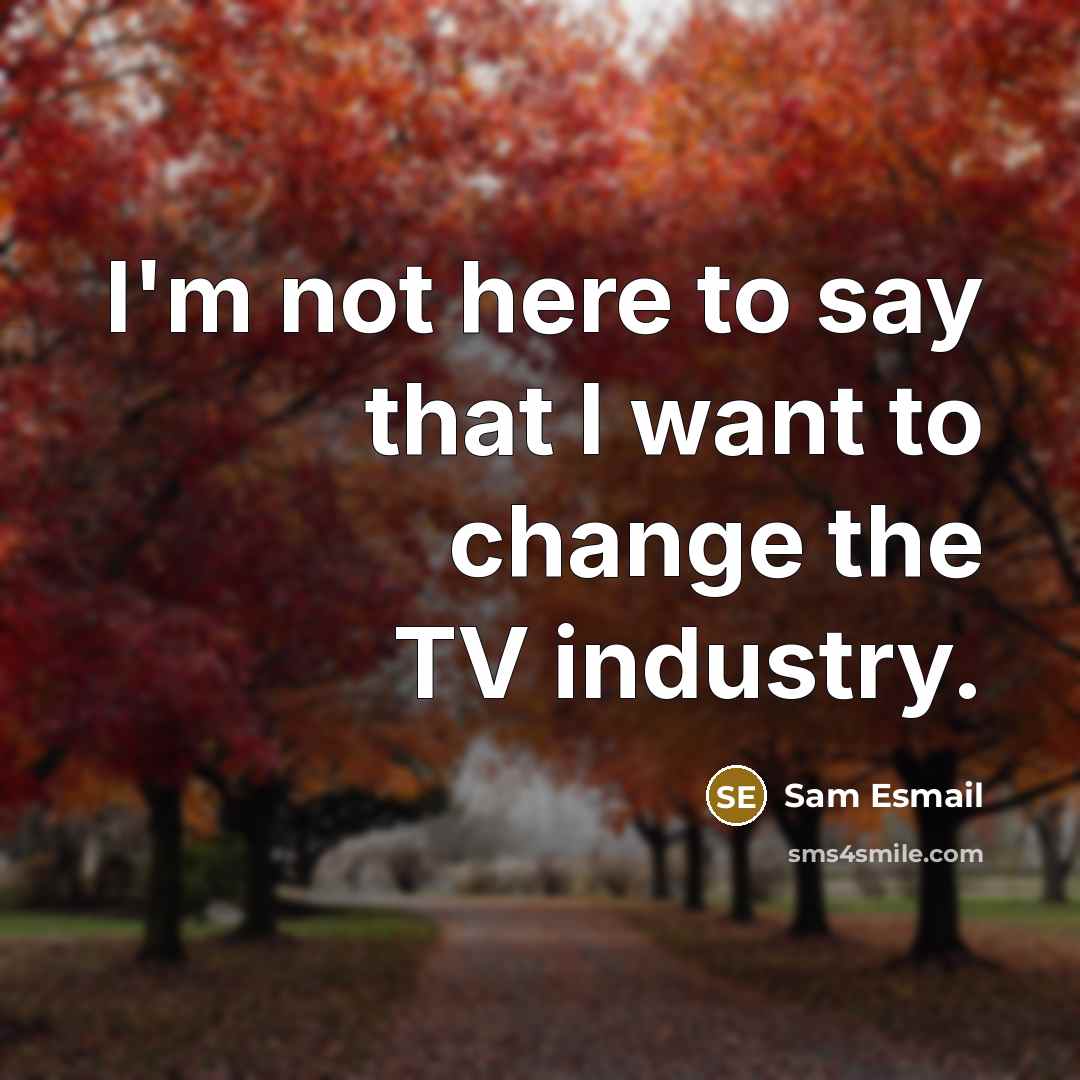 “I'm not here to say that I want to change the TV industry.” quote by Sam Esmail