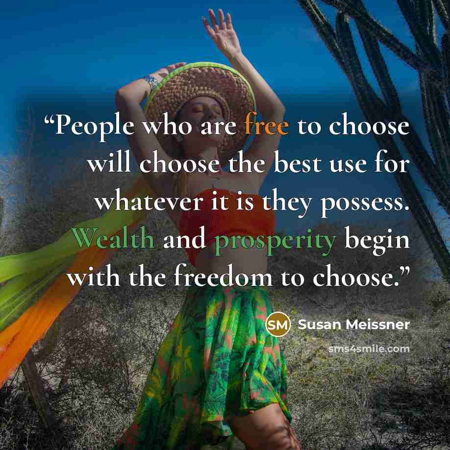 “People who are free to choose will choose the best use for whatever it is they possess. Wealth and prosperity begin with the freedom to choose.” quote by Susan Meissner