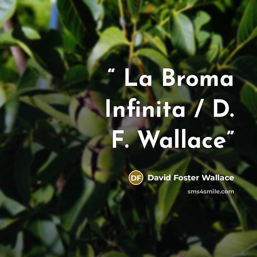 “La Broma Infinita / D. F. Wallace” quote by David Foster Wallace
