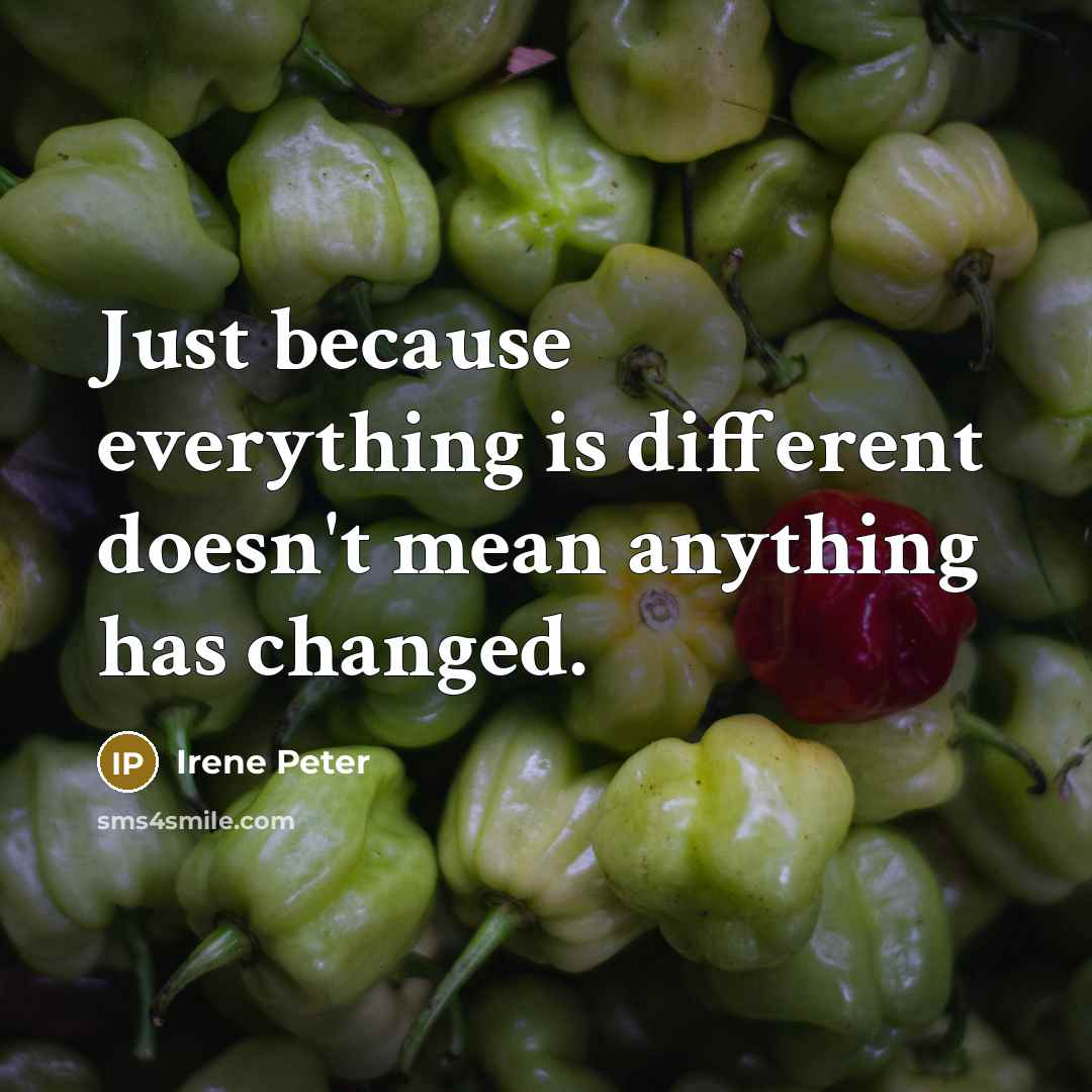 “Just because everything is different doesn't mean anything has changed.” quote by Irene Peter