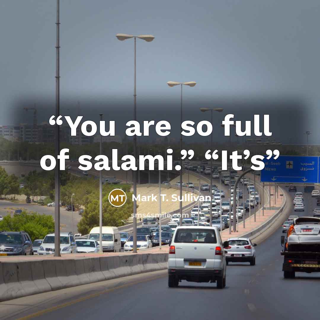 “You are so full of salami.” “It’s” quote by Mark T. Sullivan