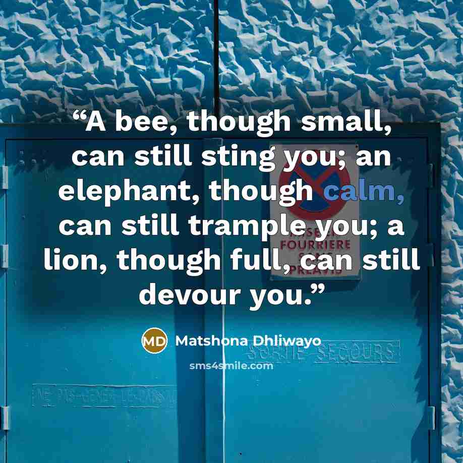 “A bee, though small, can still sting you; an elephant, though calm, can still trample you; a lion, though full, can still devour you.” quote by Matshona Dhliwayo