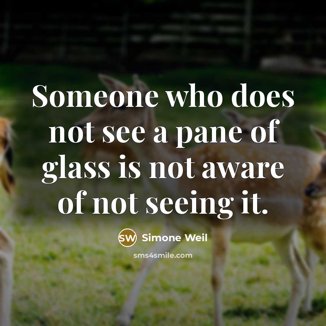 “Someone who does not see a pane of glass is not aware of not seeing it.” quote by Simone Weil