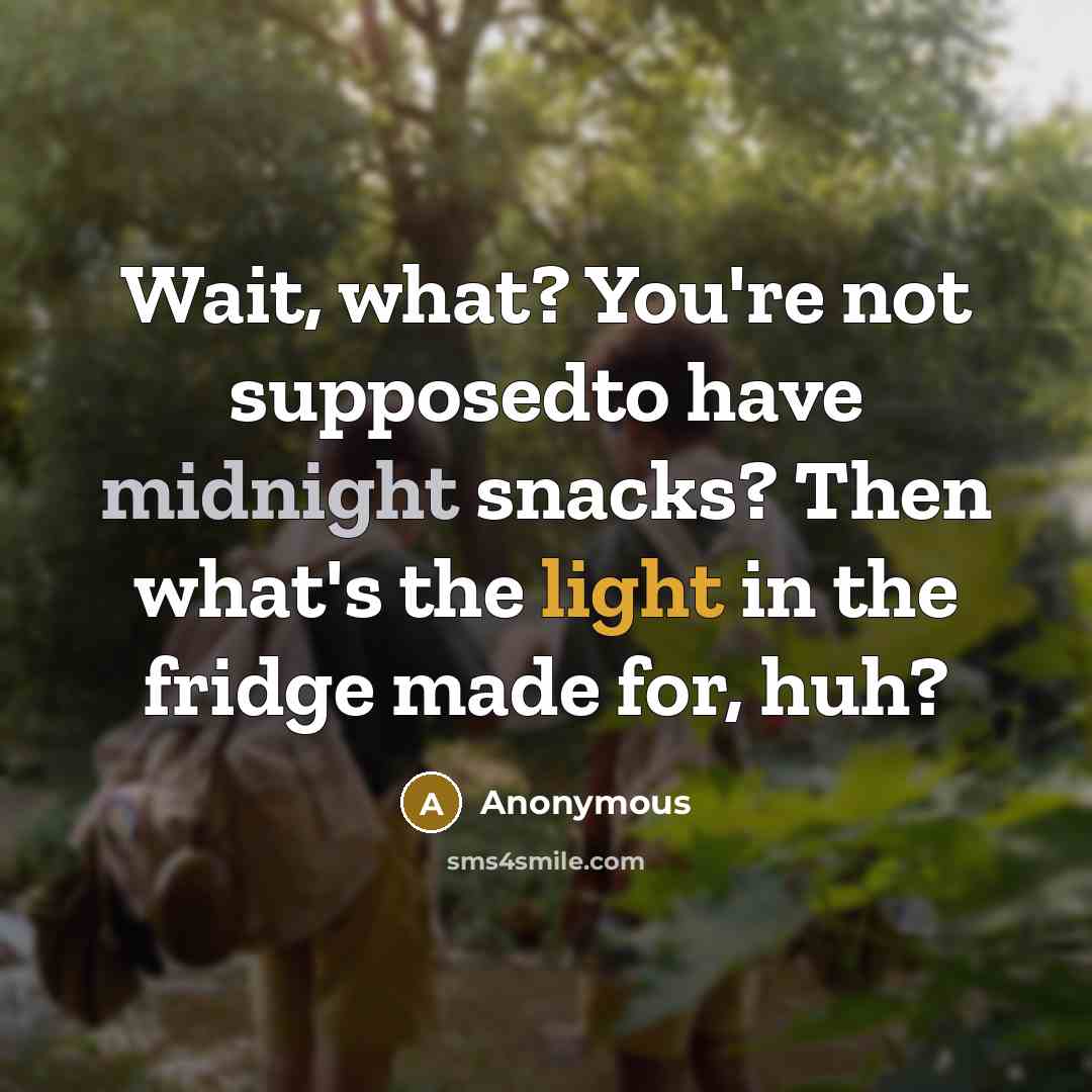 “Wait, what? You're not supposedto have midnight snacks? Then what's the light in the fridge made for, huh?” quote by Anonymous