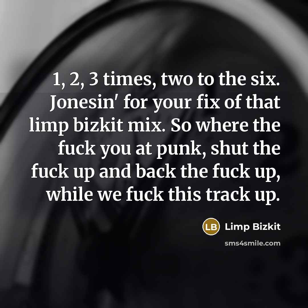 “1, 2, 3 times, two to the six. Jonesin' for your fix of that limp bizkit mix. So where the fuck you at punk, shut the fuck up and back the fuck up, while we fuck this track up.” quote by Limp Bizkit