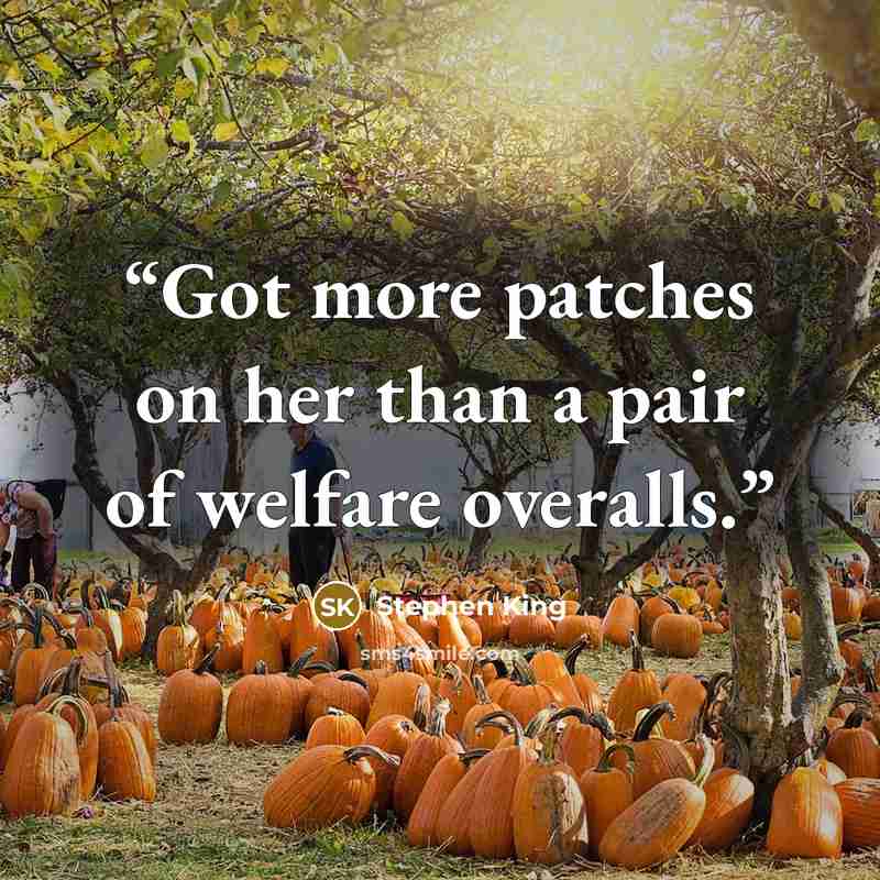 “Got more patches on her than a pair of welfare overalls.” quote by Stephen King