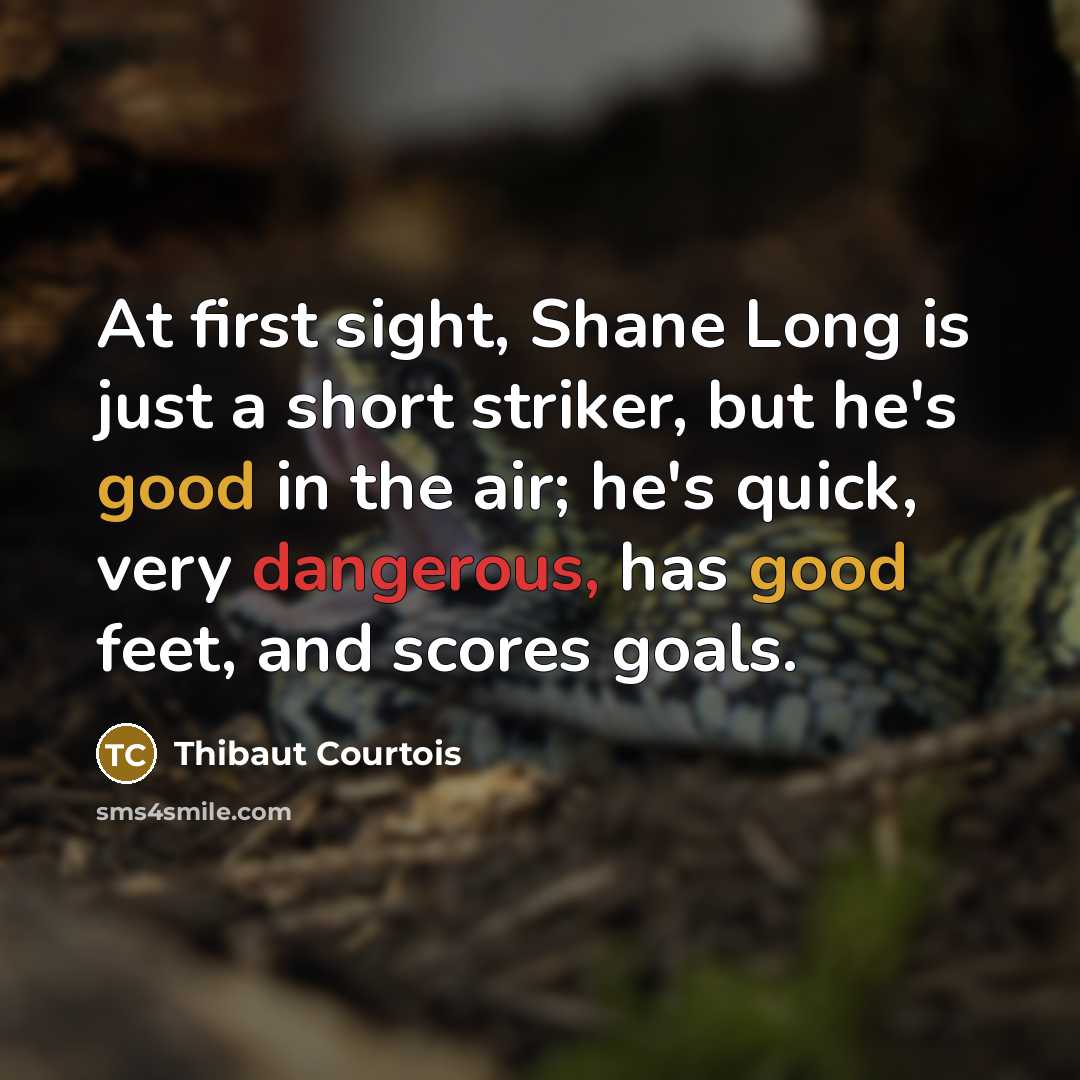 “At first sight, Shane Long is just a short striker, but he's good in the air; he's quick, very dangerous, has good feet, and scores goals.” quote by Thibaut Courtois