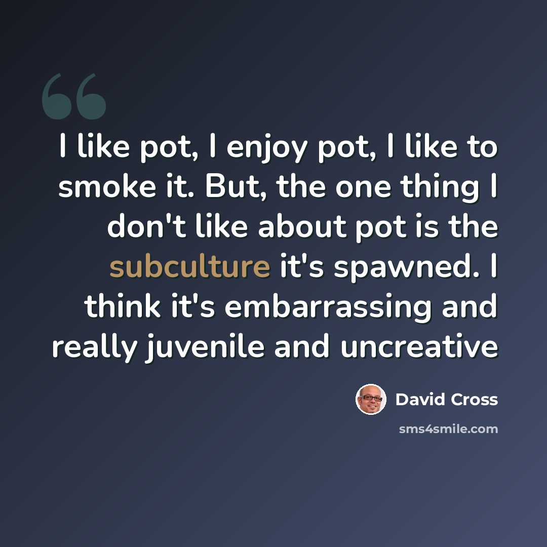 “I like pot, I enjoy pot, I like to smoke it. But, the one thing I don't like about pot is the subculture it's spawned. I think it's embarrassing and really juvenile and uncreative” quote by David Cross
