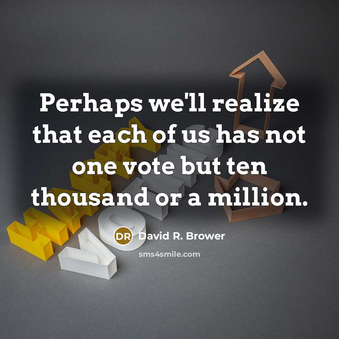 “Perhaps we'll realize that each of us has not one vote but ten thousand or a million.” quote by David R. Brower