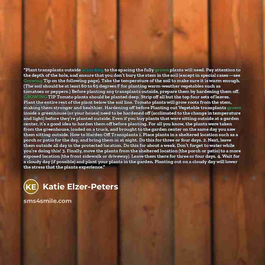 “Plant transplants outside according to the spacing the fully grown plants will need. Pay attention to the depth of the hole, and ensure that you don’t bury the stem in the soil (except in special cases—see Growing Tip on the following page). Take the temperature of the soil to make sure it is warm…” quote by Katie Elzer-Peters