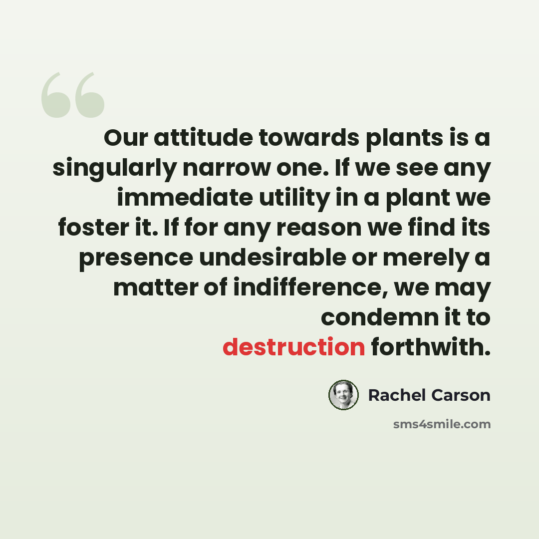“Our attitude towards plants is a singularly narrow one. If we see any immediate utility in a plant we foster it. If for any reason we find its presence undesirable or merely a matter of indifference, we may condemn it to destruction forthwith.” quote by Rachel Carson