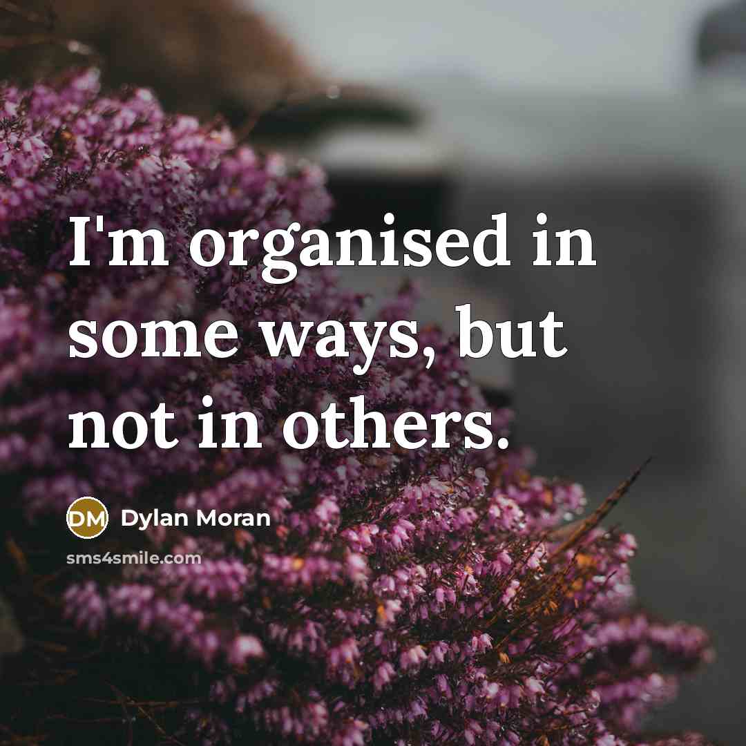 “I'm organised in some ways, but not in others.” quote by Dylan Moran