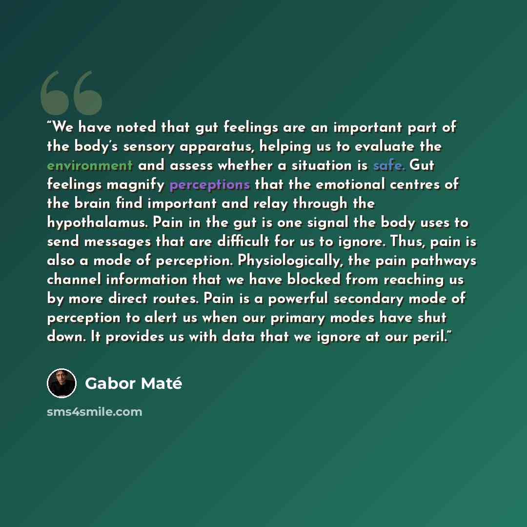 “We have noted that gut feelings are an important part of the body’s sensory apparatus, helping us to evaluate the environment and assess whether a situation is safe. Gut feelings magnify perceptions that the emotional centres of the brain find important and relay through the hypothalamus. Pain in…” quote by Gabor Maté