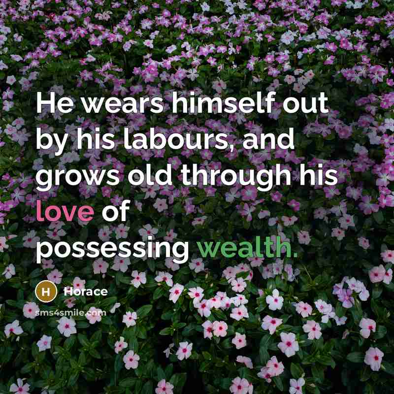 “He wears himself out by his labours, and grows old through his love of possessing wealth.” quote by Horace