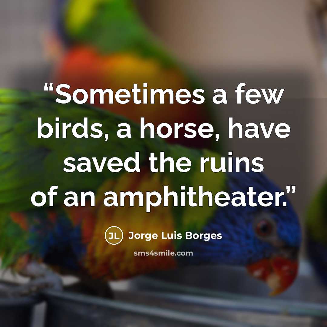 “Sometimes a few birds, a horse, have saved the ruins of an amphitheater.” quote by Jorge Luis Borges