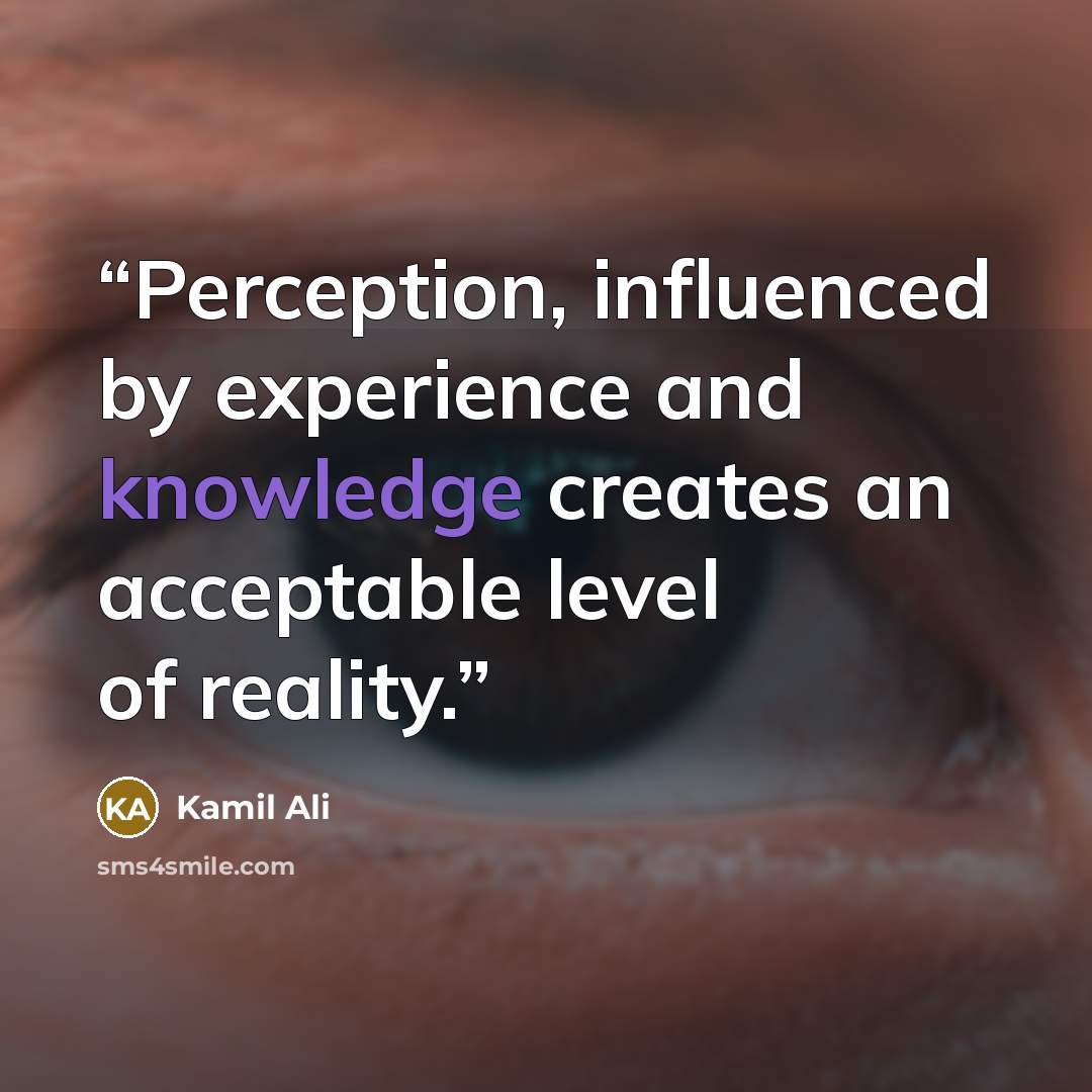 “Perception, influenced by experience and knowledge creates an acceptable level of reality.” quote by Kamil Ali