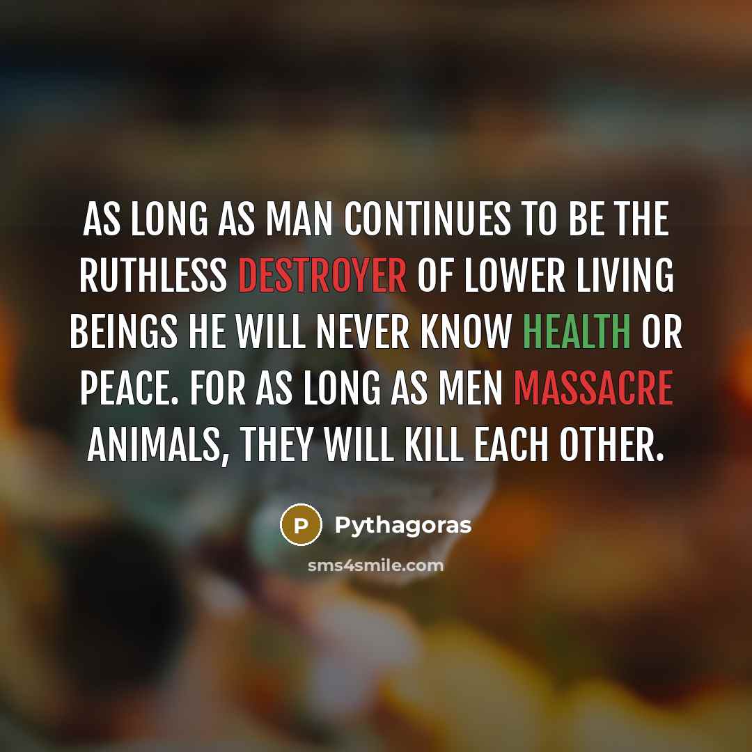 “As long as man continues to be the ruthless destroyer of lower living beings he will never know health or peace. For as long as men massacre animals, they will kill each other.” quote by Pythagoras