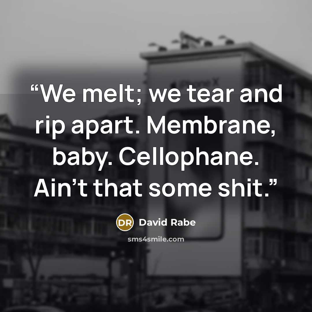 “We melt; we tear and rip apart. Membrane, baby. Cellophane. Ain't that some shit.” quote by David Rabe