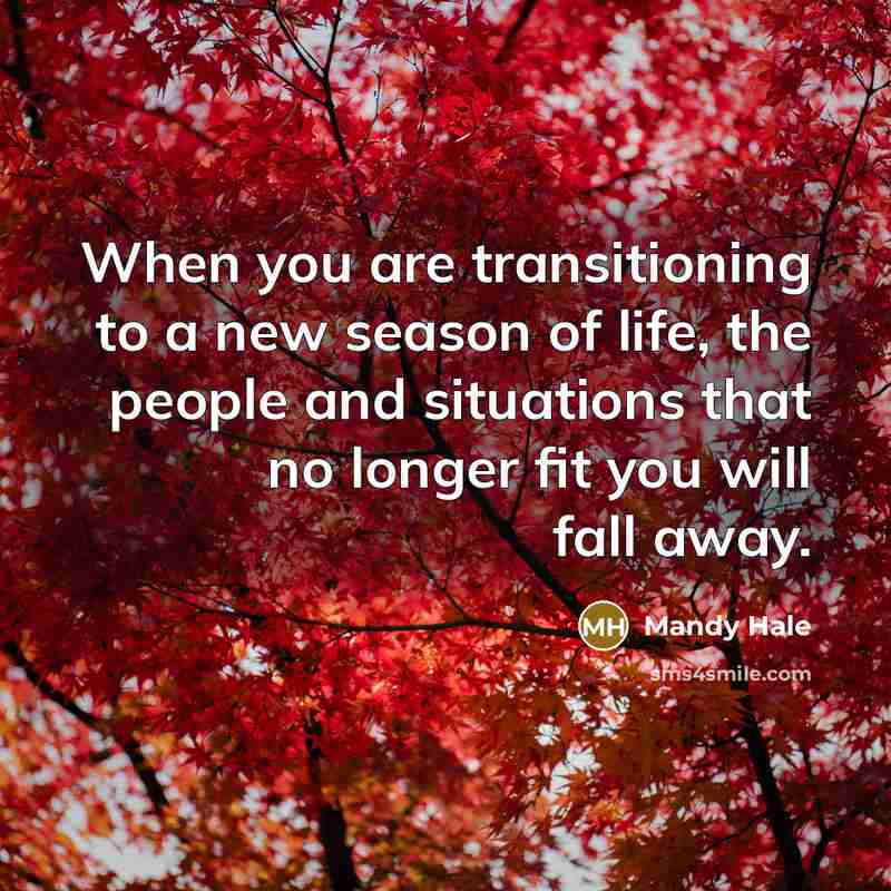 “When you are transitioning to a new season of life, the people and situations that no longer fit you will fall away.” quote by Mandy Hale