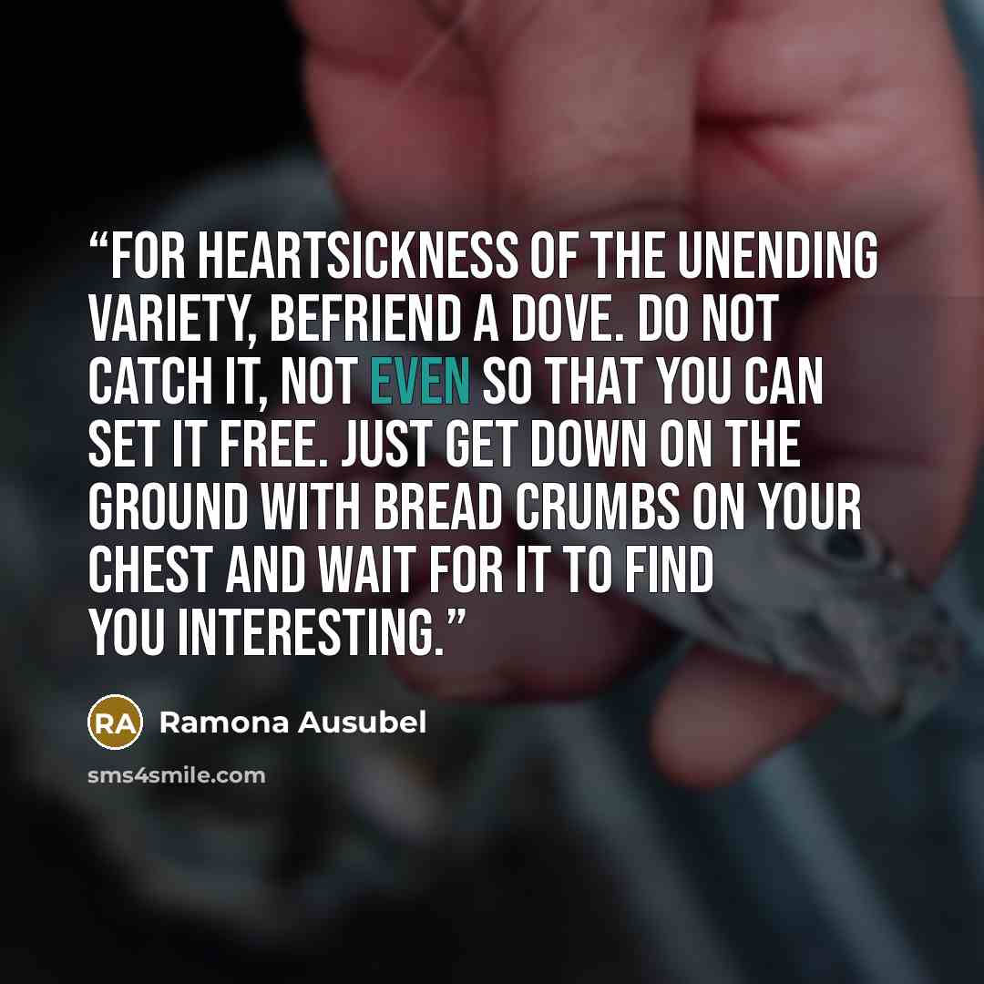 “For heartsickness of the unending variety, befriend a dove. Do not catch it, not even so that you can set it free. Just get down on the ground with bread crumbs on your chest and wait for it to find you interesting.” quote by Ramona Ausubel