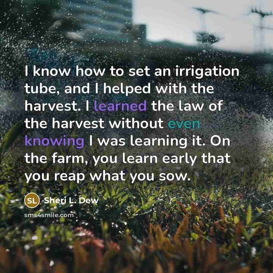 “I know how to set an irrigation tube, and I helped with the harvest. I learned the law of the harvest without even knowing I was learning it. On the farm, you learn early that you reap what you sow.” quote by Sheri L. Dew