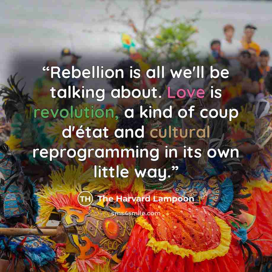 “Rebellion is all we'll be talking about. Love is revolution, a kind of coup d'état and cultural reprogramming in its own little way.” quote by The Harvard Lampoon