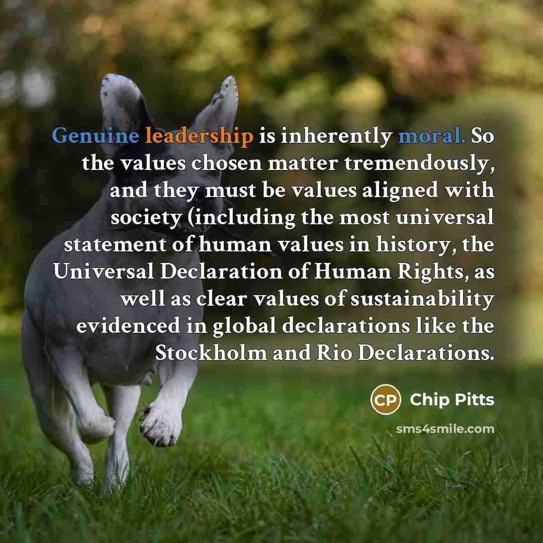 “Genuine leadership is inherently moral. So the values chosen matter tremendously, and they must be values aligned with society (including the most universal statement of human values in history, the Universal Declaration of Human Rights, as well as clear values of sustainability evidenced in…” quote by Chip Pitts