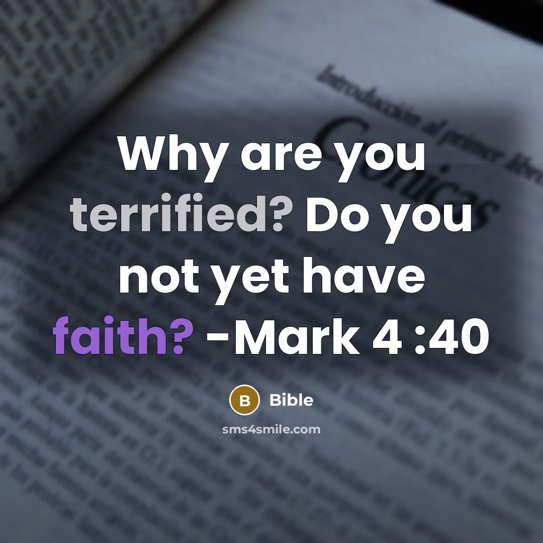 “Why are you terrified? Do you not yet have faith? -Mark 4 :40” quote by Bible