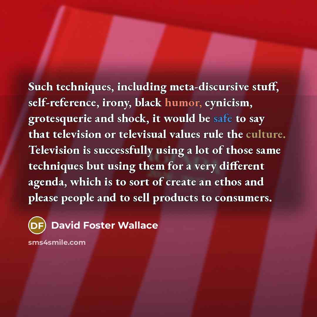 “Such techniques, including meta-discursive stuff, self-reference, irony, black humor, cynicism, grotesquerie and shock, it would be safe to say that television or televisual values rule the culture. Television is successfully using a lot of those same techniques but using them for a very different…” quote by David Foster Wallace
