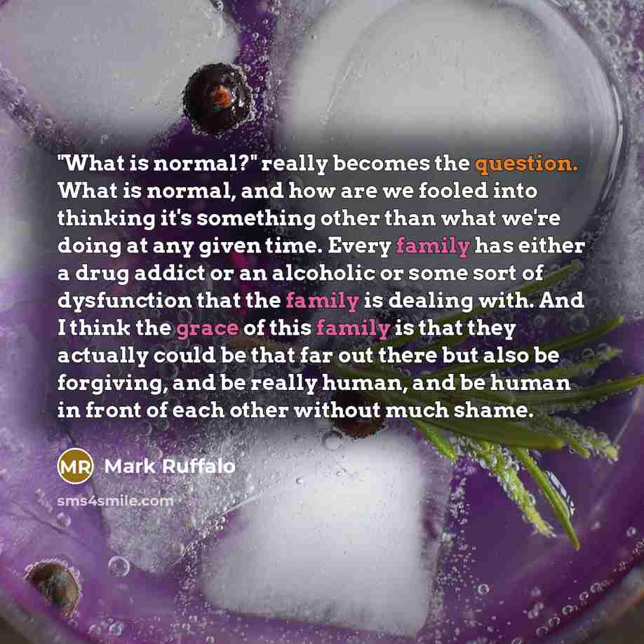 “"What is normal?" really becomes the question. What is normal, and how are we fooled into thinking it's something other than what we're doing at any given time. Every family has either a drug addict or an alcoholic or some sort of dysfunction that the family is dealing with. And I think the grace…” quote by Mark Ruffalo